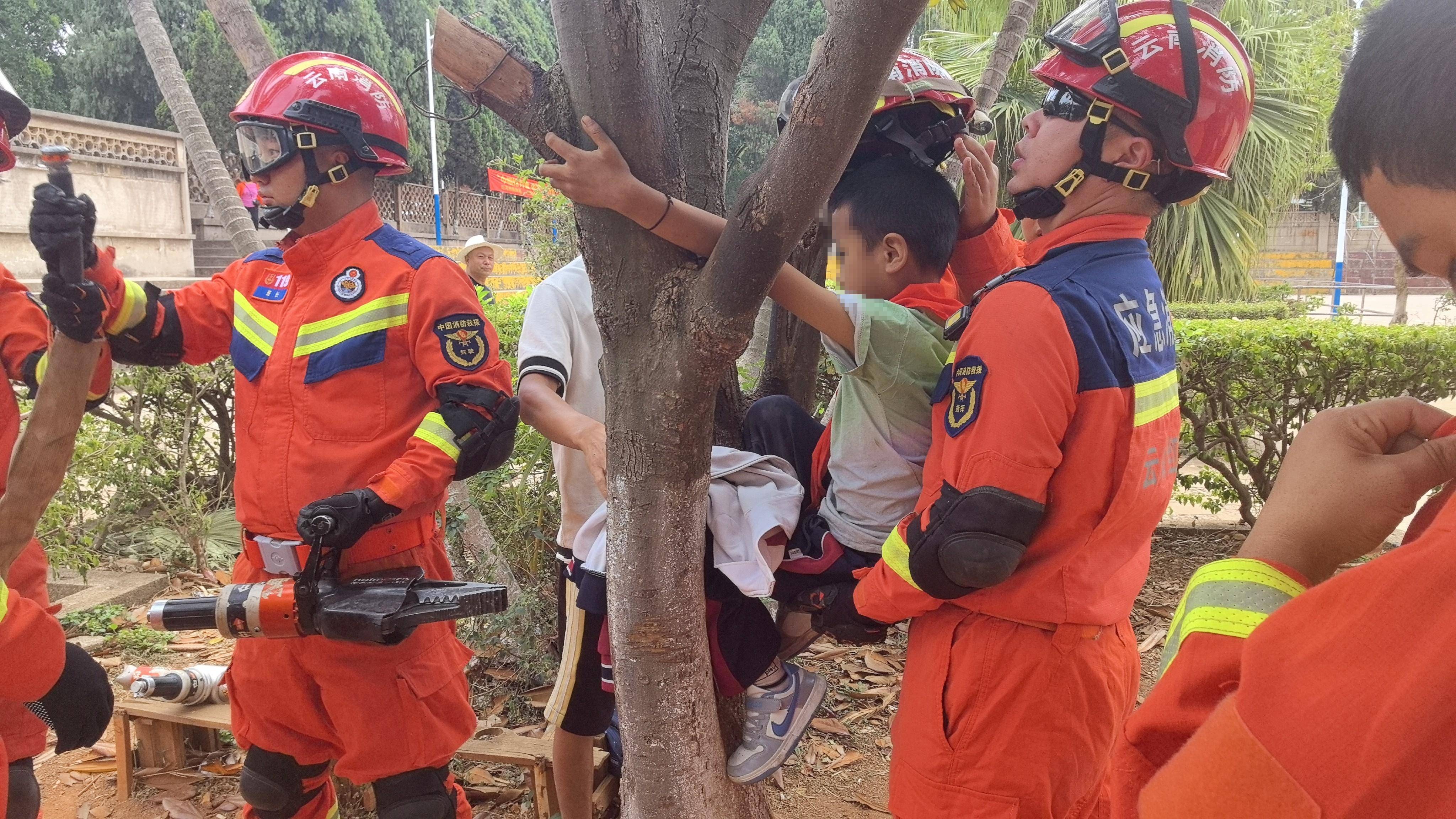 个旧一名熊孩子爬树追松鼠,腿卡树杈