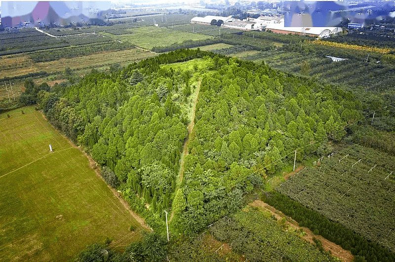 春潮涌动看杨陵 | 五泉:深耕"土特产" 拓宽振兴路