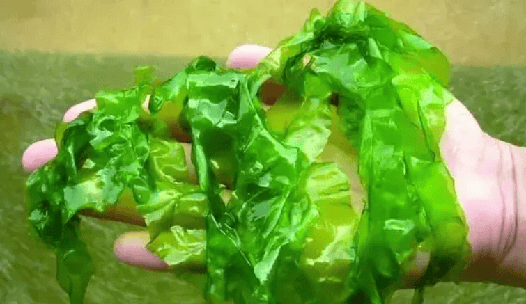 海藻居然还有这些功效!