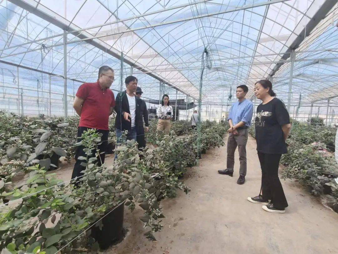 阳春四月,生机盎然,正是大量应季水果上市的季节.