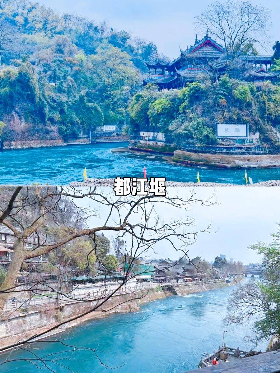 上海到四川峨眉山旅游攻略 ,这篇旅游攻略巨巨巨详细!_李娜_旅行_导游