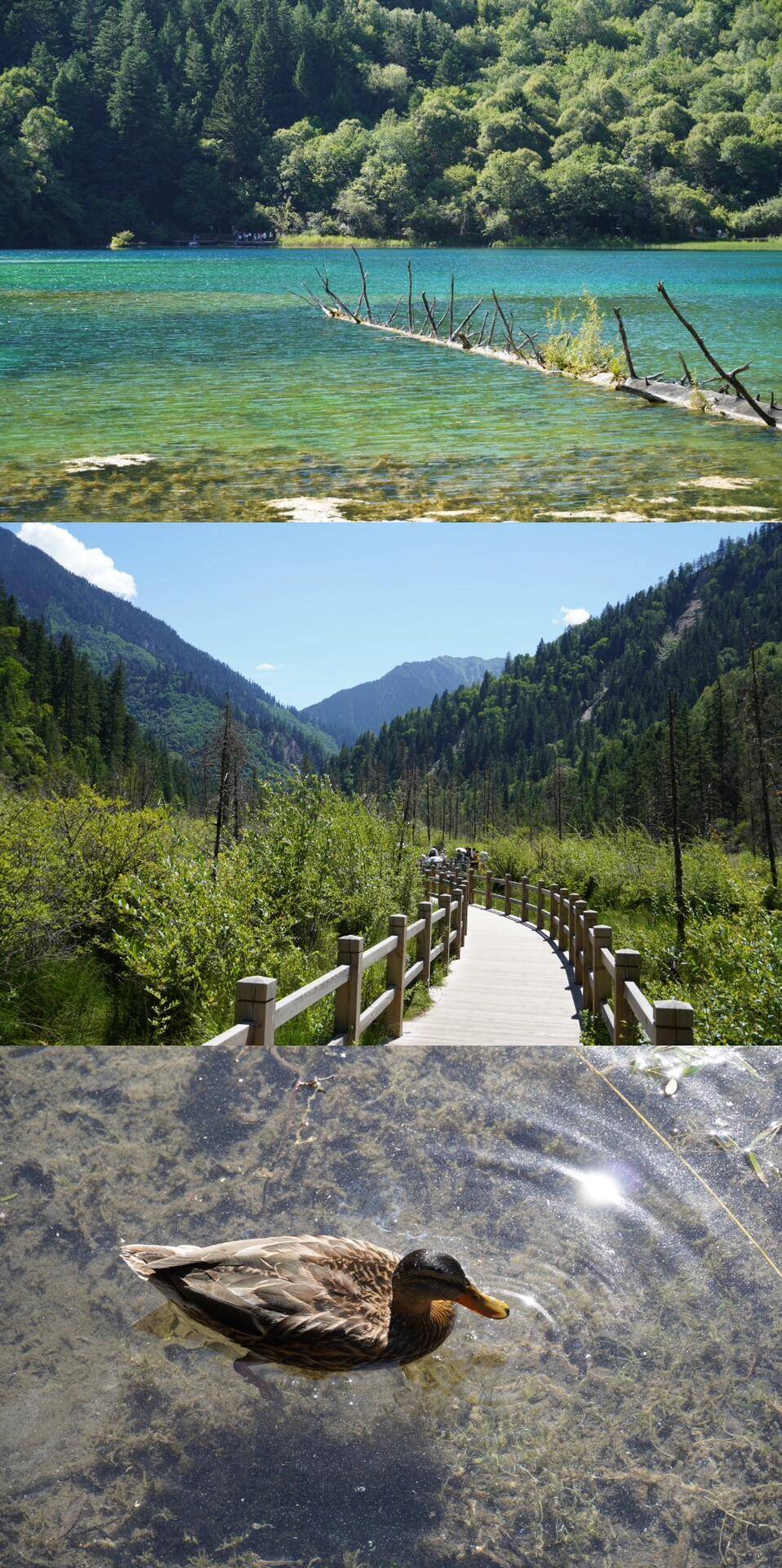 四川五天旅游推荐四姑娘山 ,私人定制,旅行路线及注意事项!