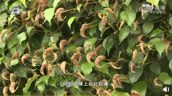 今日起,少穿这种衣服出门!