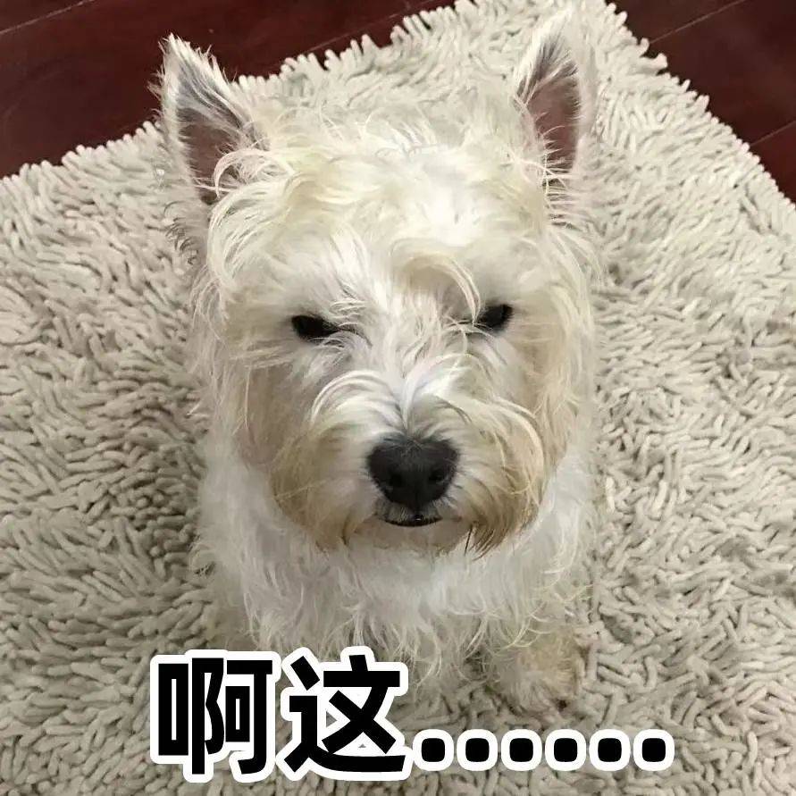 "这可能比杨贵妃吃的还贵.