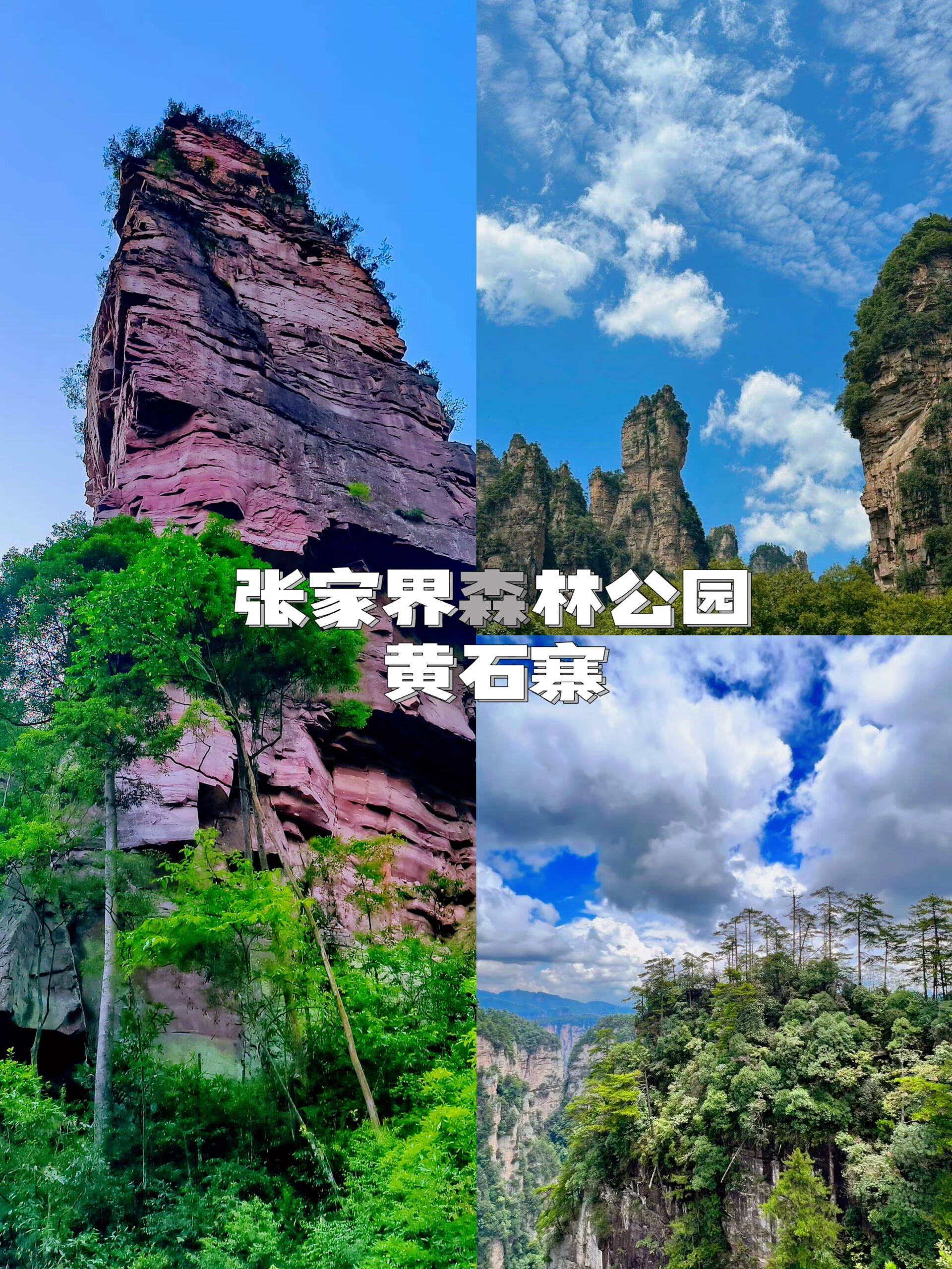 张家界五天四晚旅游攻略 ,资深老导游带你玩遍这座城市