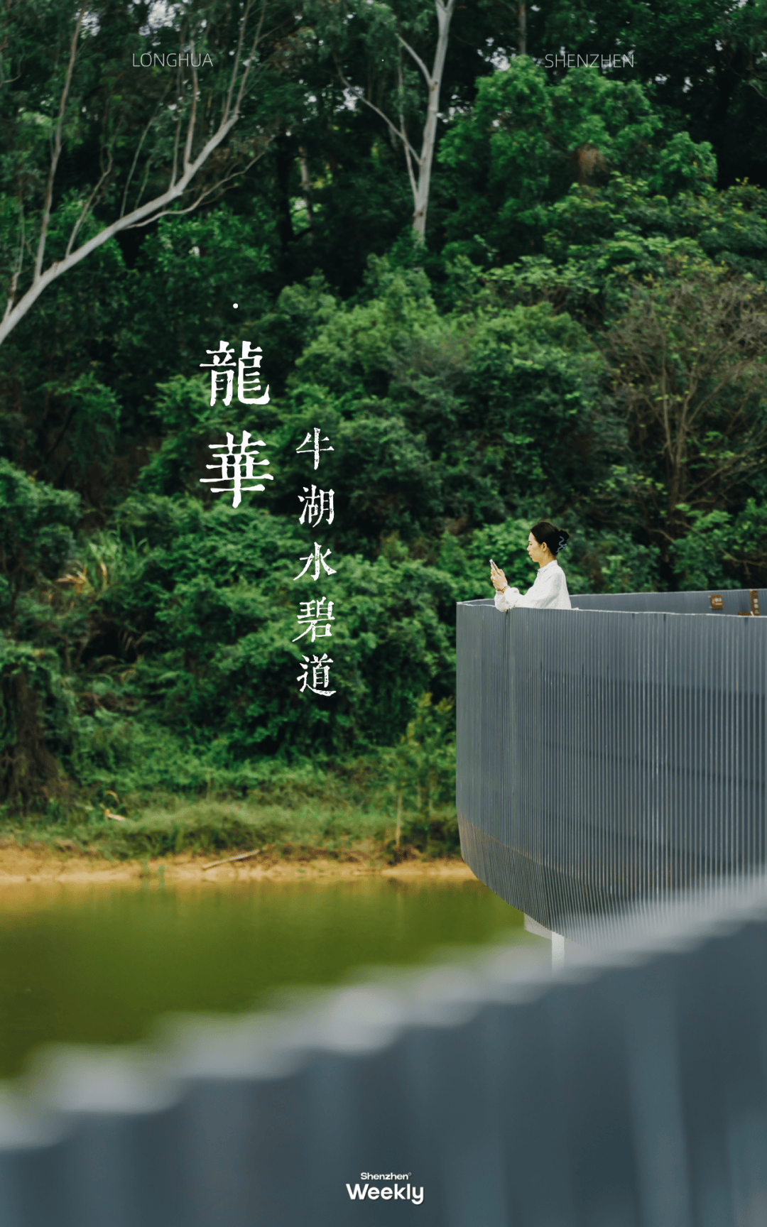 别再下雨了,想去逛深圳新开放的「银丝带」_版画_湖水_观澜