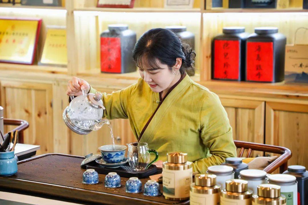春游江淮 请来六安|上春山,采春茶!抱儿山核心区茶叶开采!