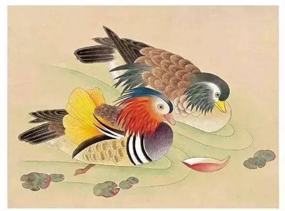 鸳鸯工笔,写意画法,建议收藏!