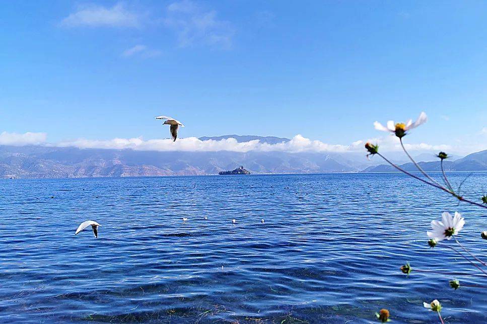 沪沽湖景区图片