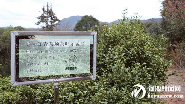 "双百行动"校企合作实践基地在和平县揭牌 为乡村振兴提供人才支撑