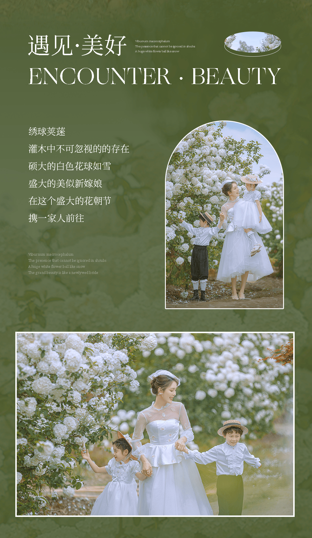 四月的顶流亲子照,属于开爆了的绣球花_人鱼_原文_星座