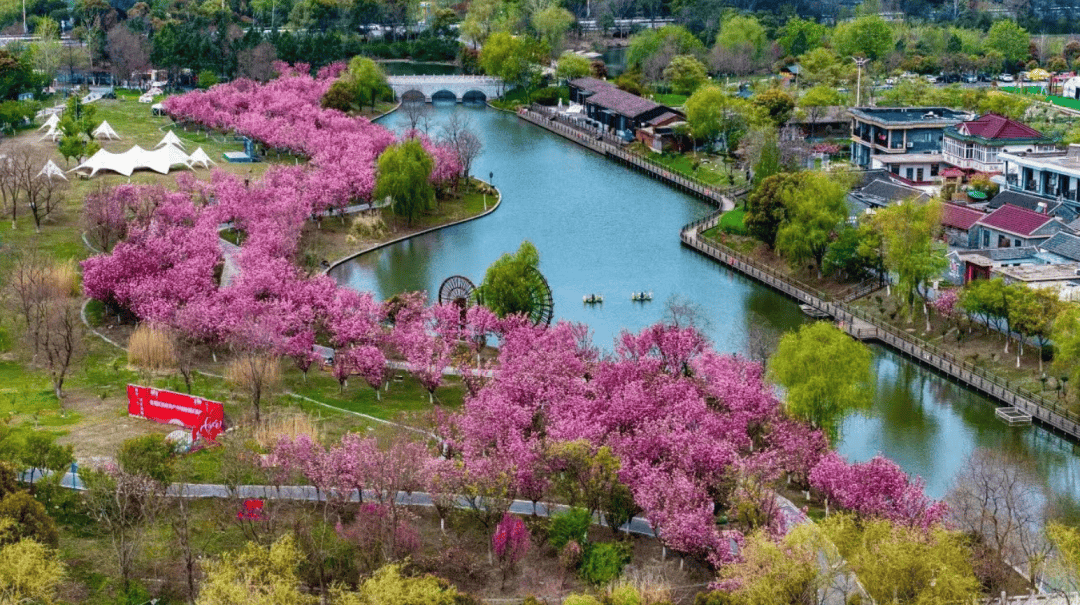 姜堰小杨村旅游精品线路新鲜出炉