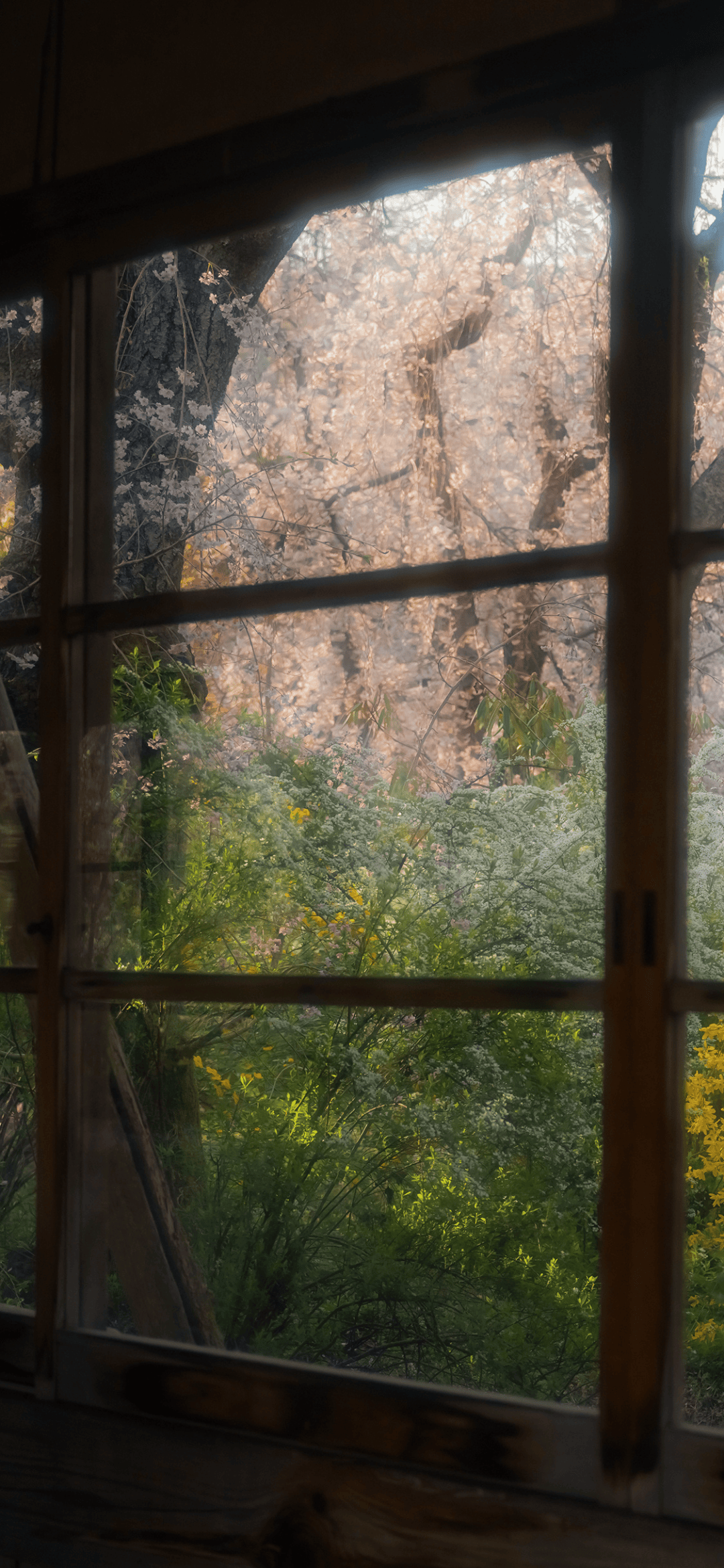 氛围感风景壁纸