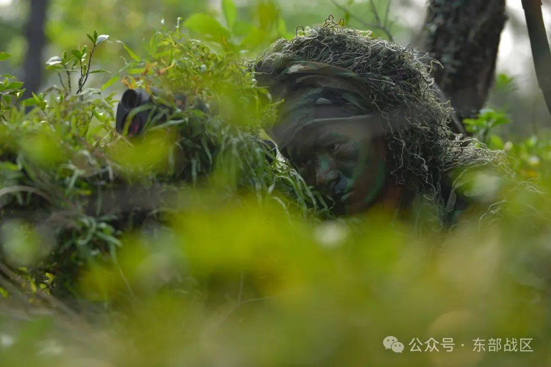 正对伪装的狙击手展开搜索到达狙击区域搜索小组与此同时并快速组织