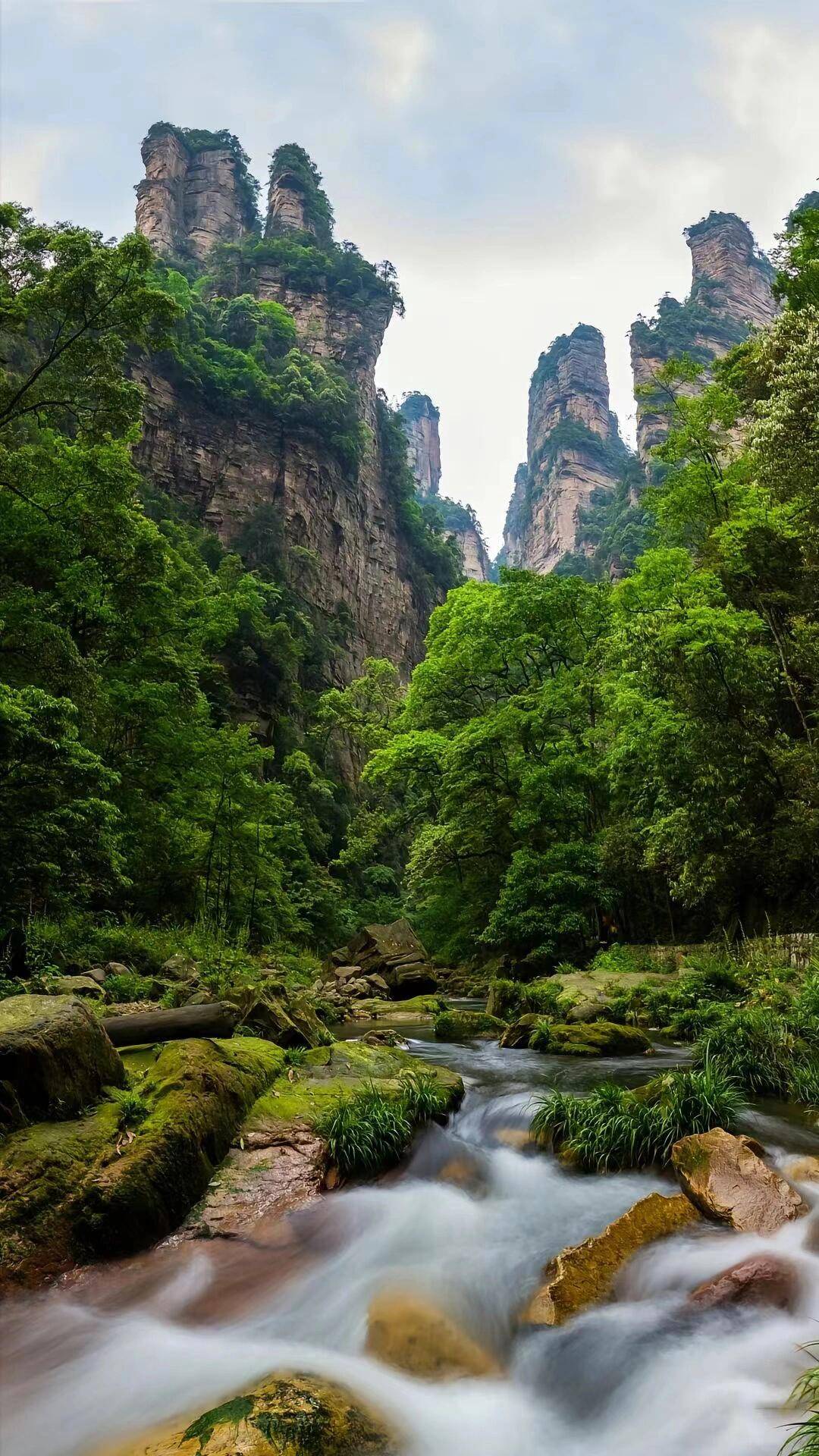 张家界旅游团报价7日游价格表 ,怎么玩省心,看完就清楚了!