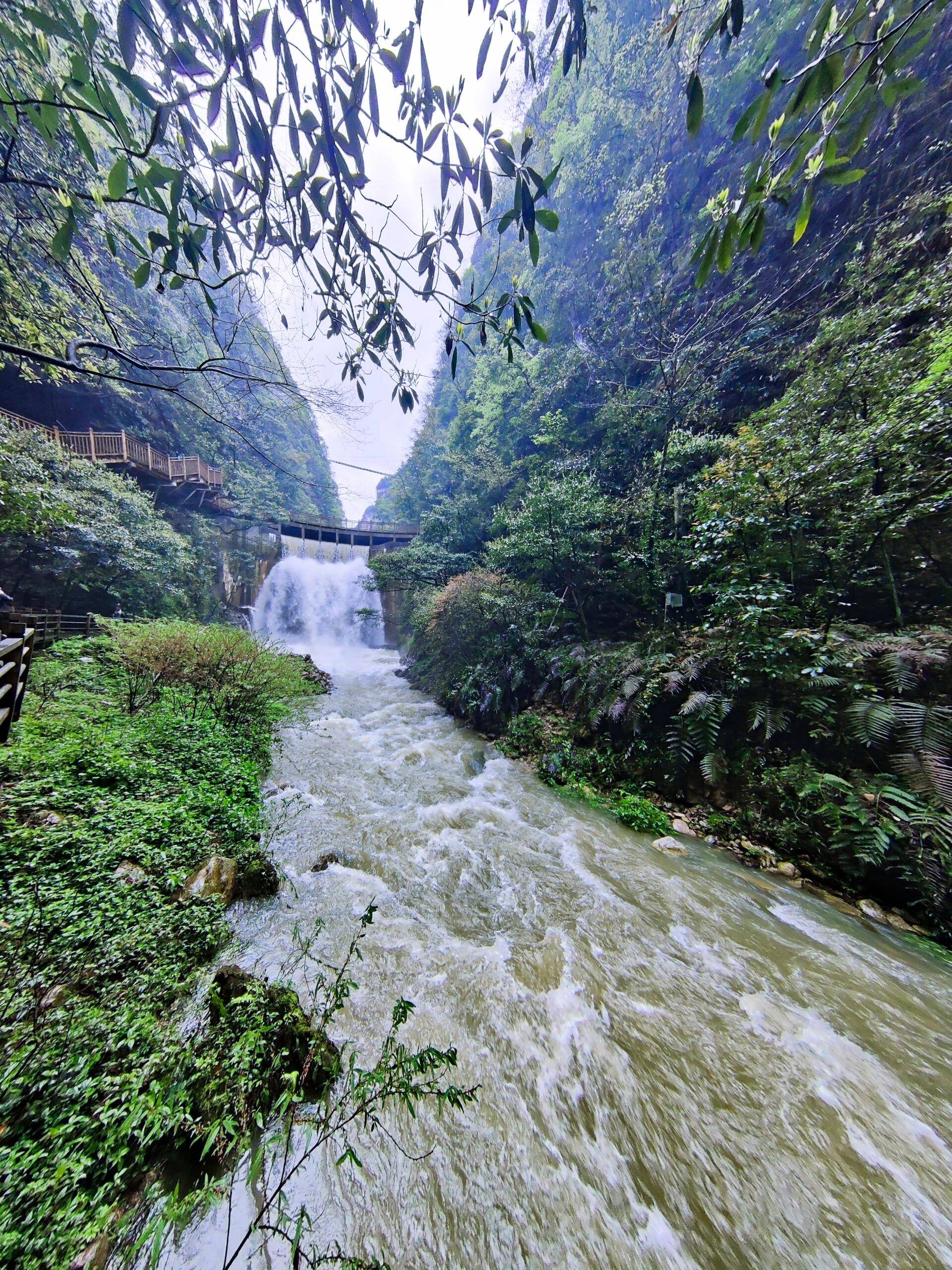 孝昌到张家界旅游团多少钱 ,请先手下这份游玩攻略