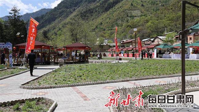 "放歌官鹅畅享宕昌"促消费系列活动启动