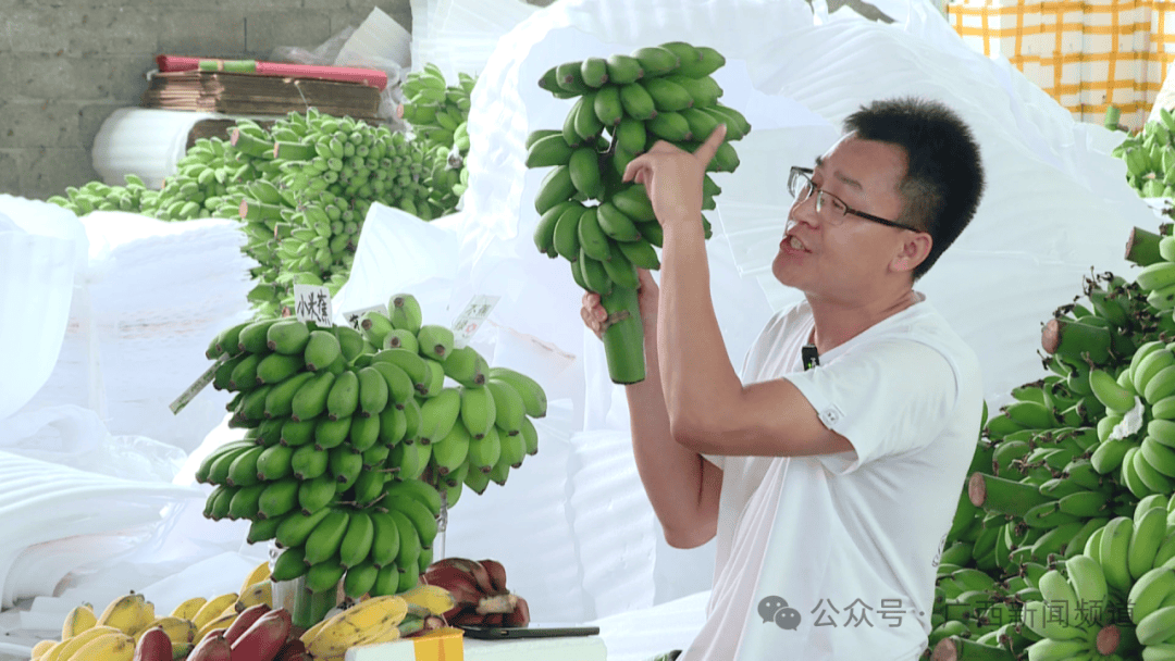 "鲜切香蕉枝"竟成新网红?日售超10万斤,广西有商家忙得不亦乐乎