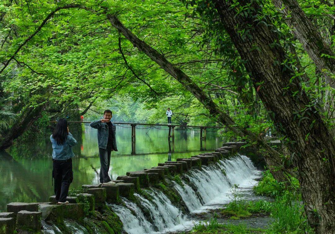 【大黄山365·第142期】生态黄山 秘境徽州|春游江淮_西溪南_刘凯星