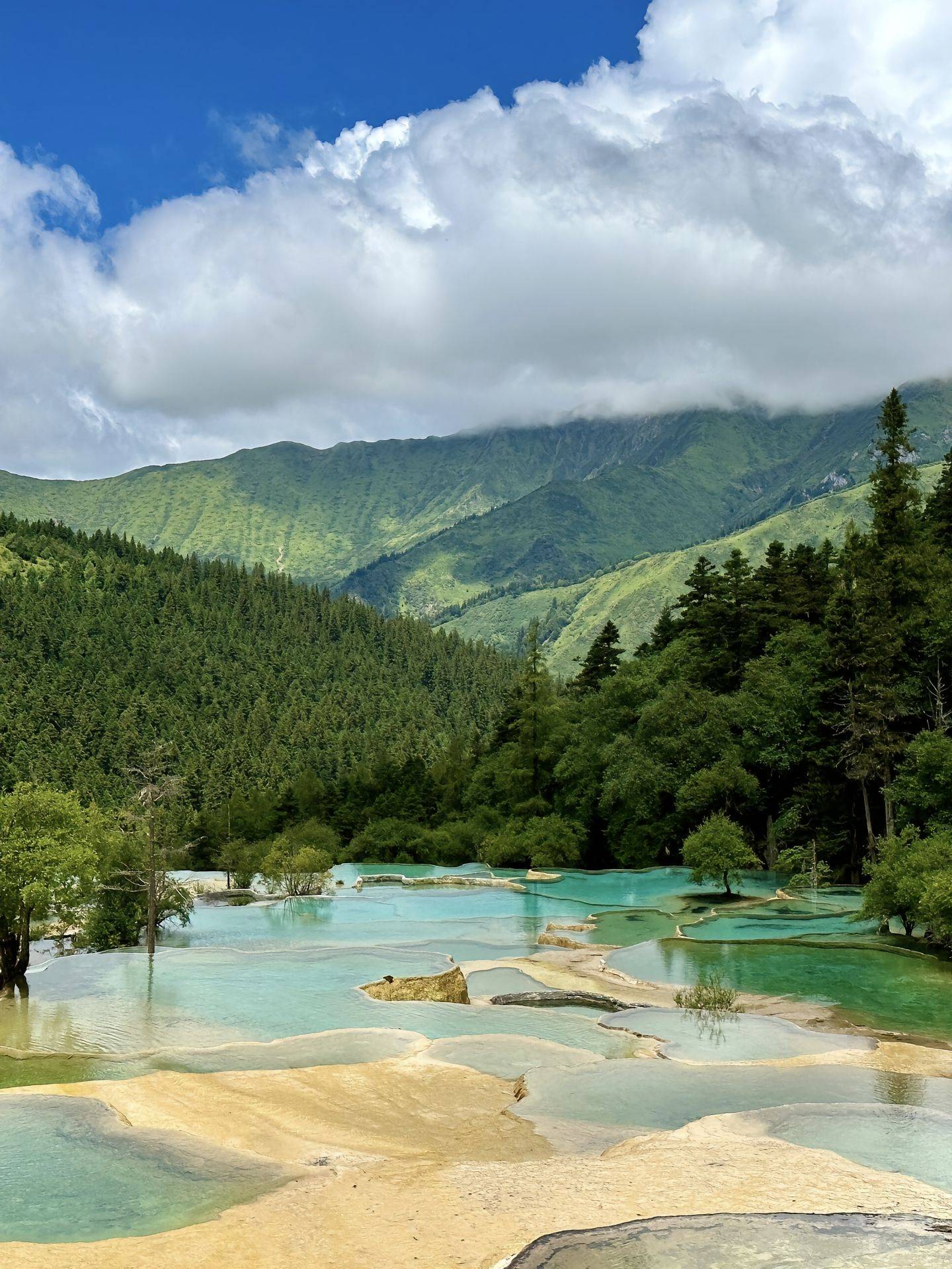 四川乐山带峨眉山旅游 ,这一篇搞定避雷不踩坑!