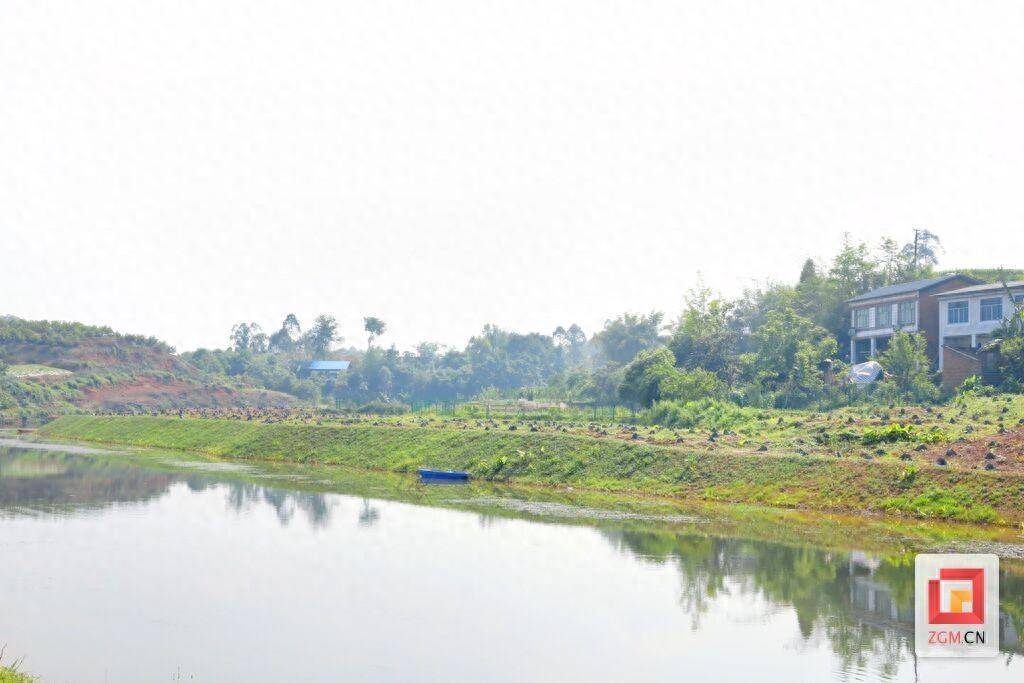 贡井区五宝镇加快推进偏岩洞集中式饮用水水源地规范化建设项目