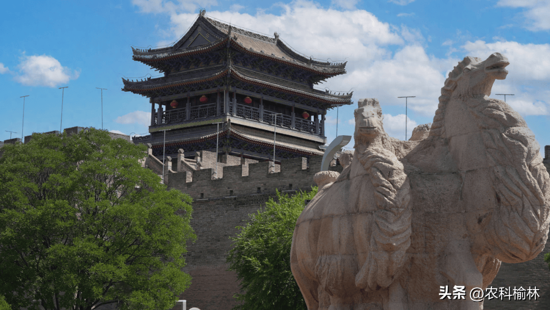 嗨玩榆林古城，乐享五一假期 ｜ “驼城非遗荟”主题活动来啦！_互动_陕北_老街