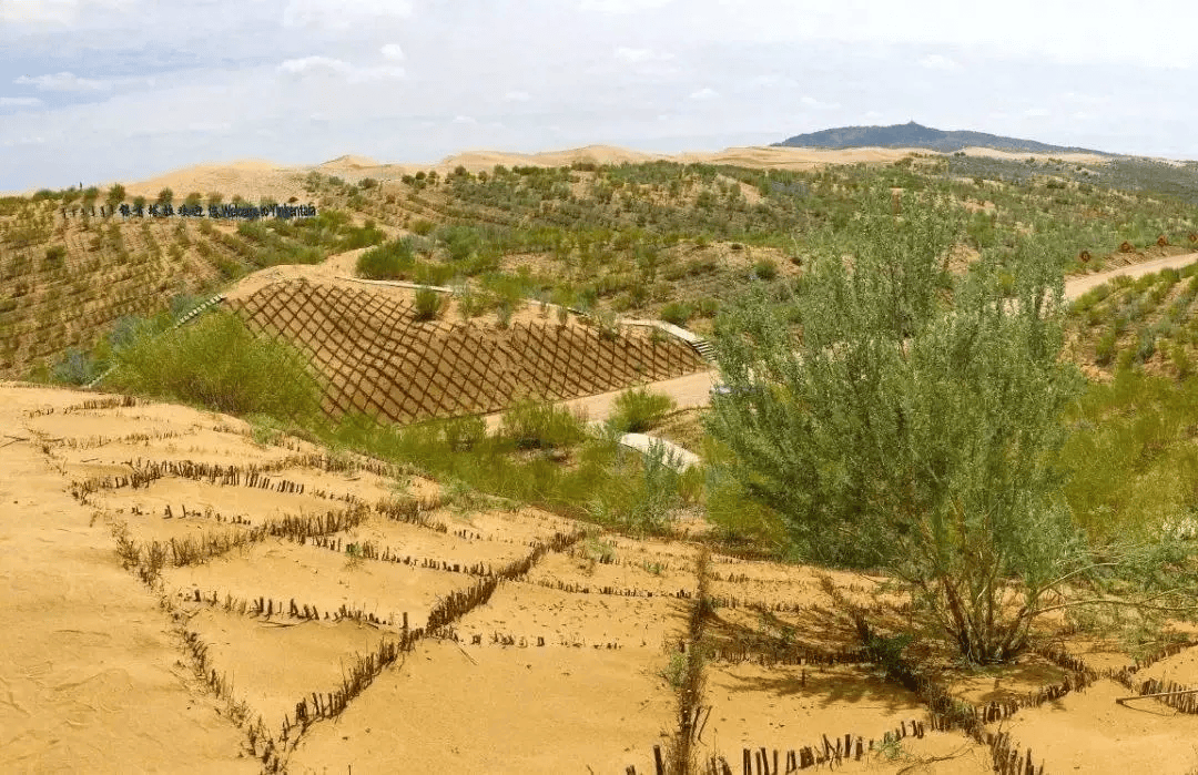 三北防护林,中国人抗争大自然的宏大工程