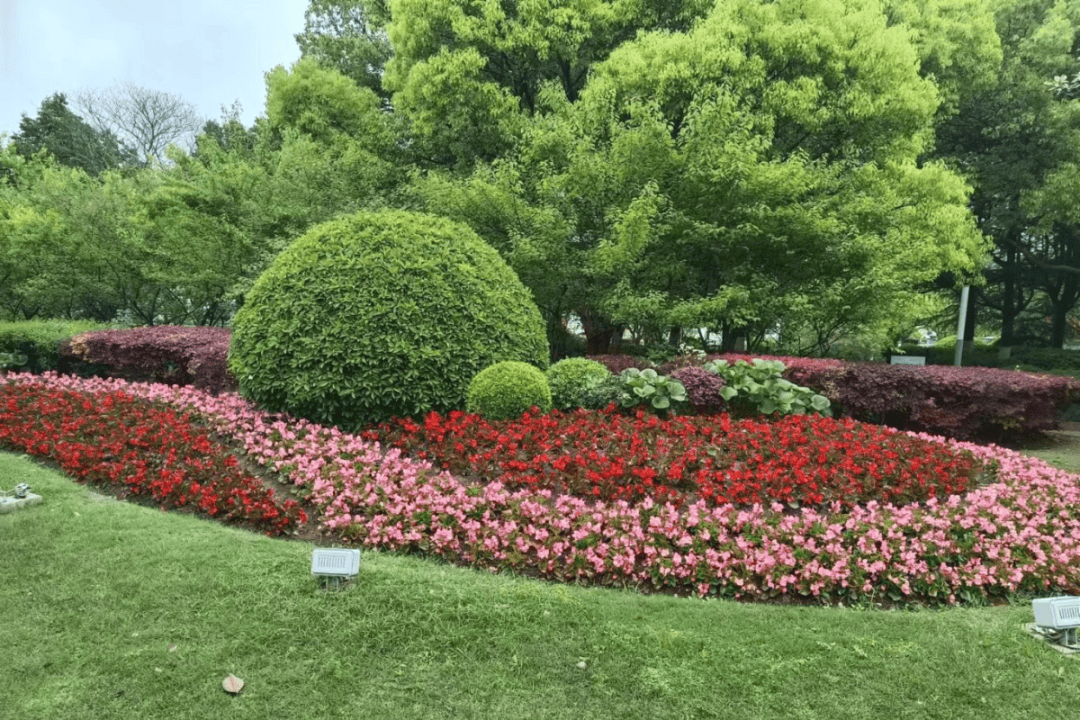 你打算到哪里打卡?