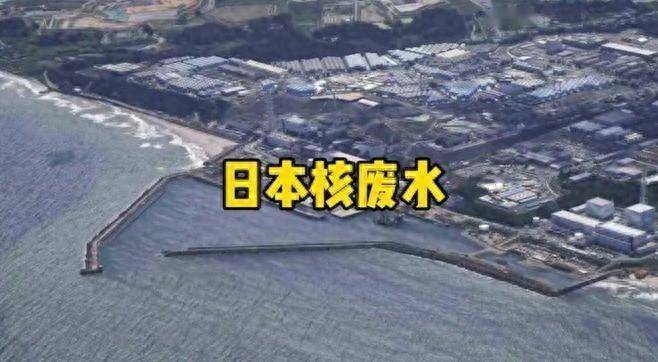 核废水即将进入中国!这几种鱼尽量不吃,每一种都别大意!