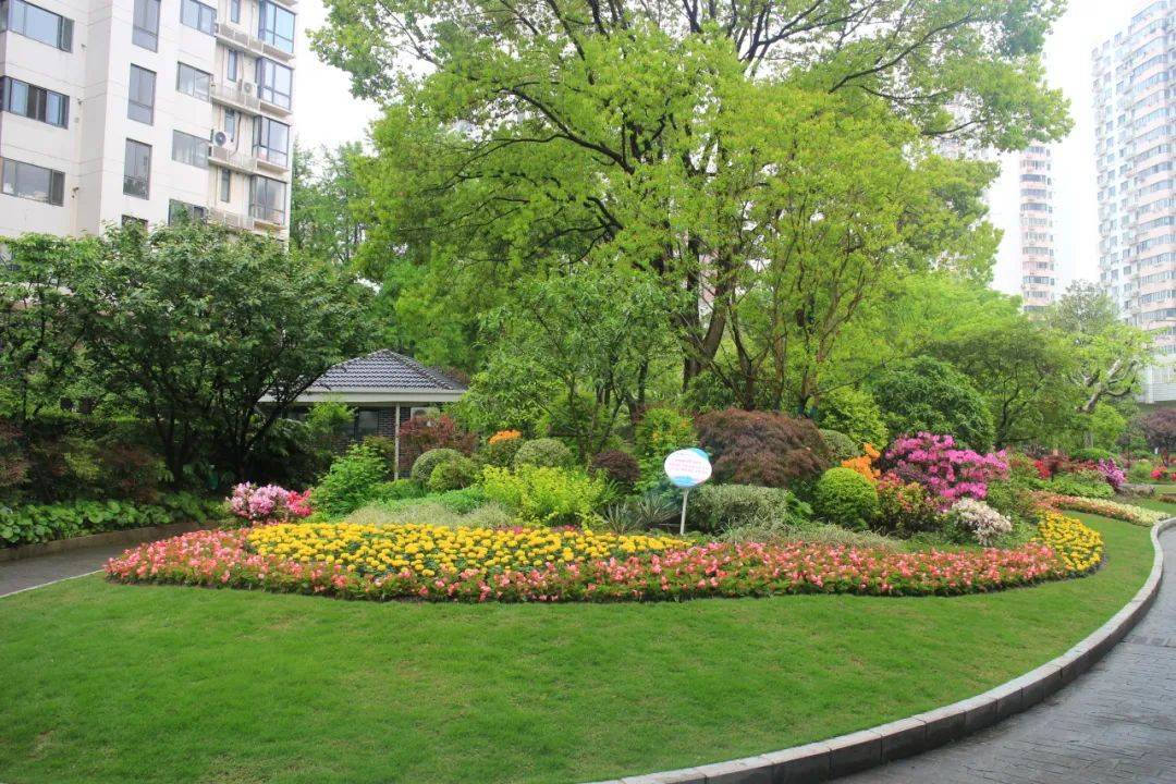 桃浦公园花坛面积:32平方米设计说明:此花坛运用色彩丰富的当季花卉