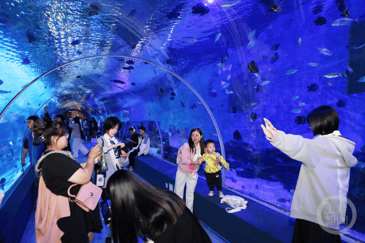 重庆巴南：海洋公园乐享“五一”假期