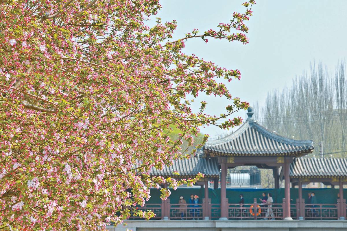 壁纸 花 桌面 1200_800