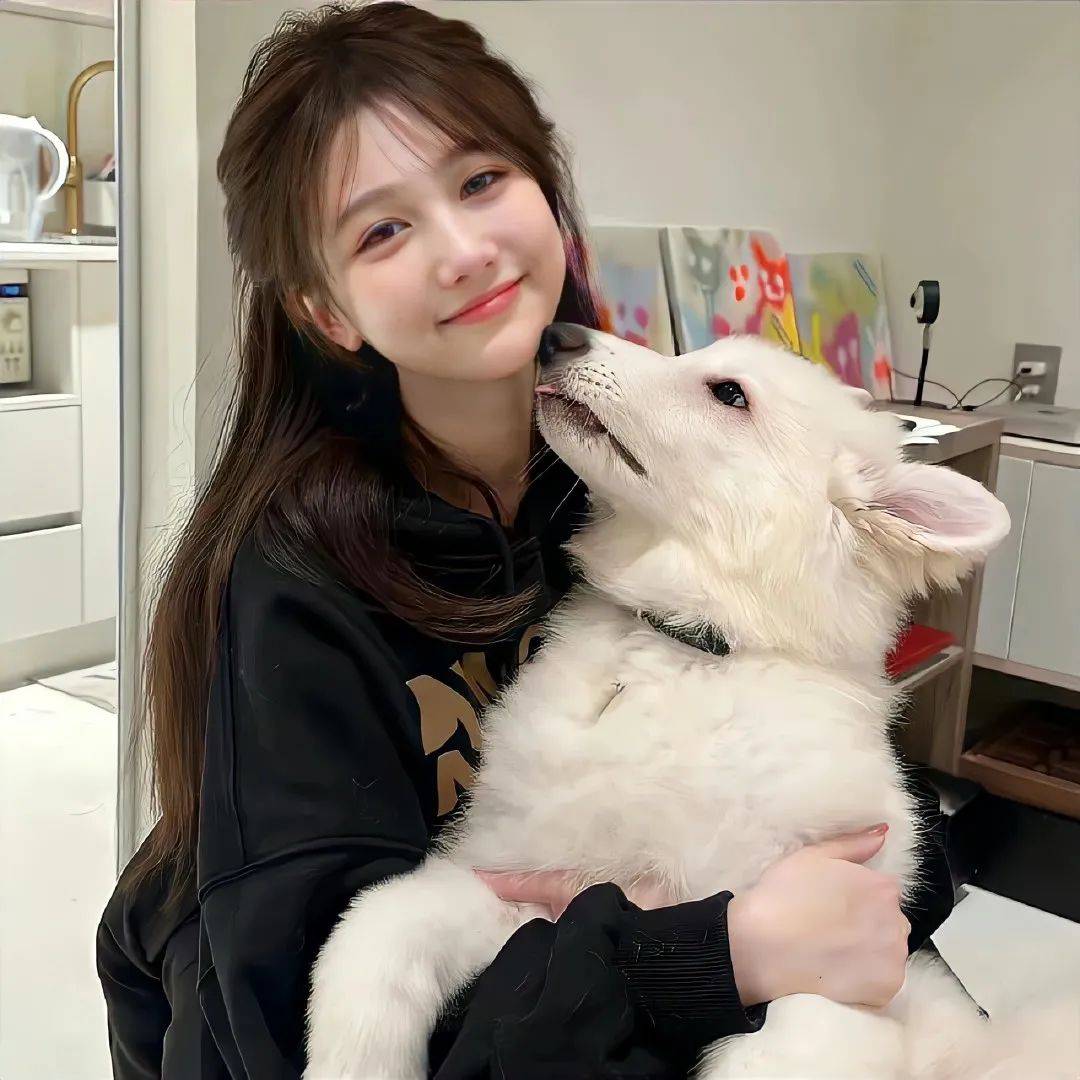 头像 | 光感小众头像更新啦