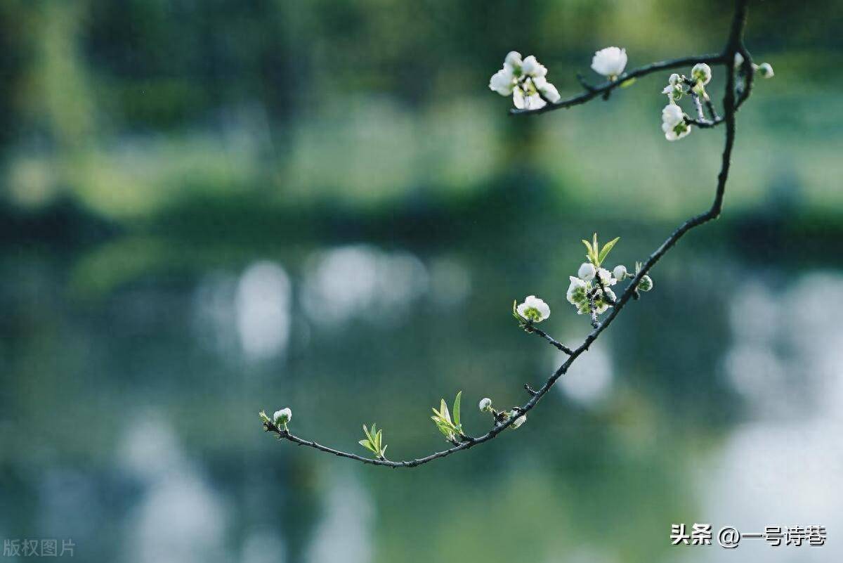 暮春:宋朝诗人的这首诗,句句美得不同寻常,尤其值得一读_王迈_太阳_云朵