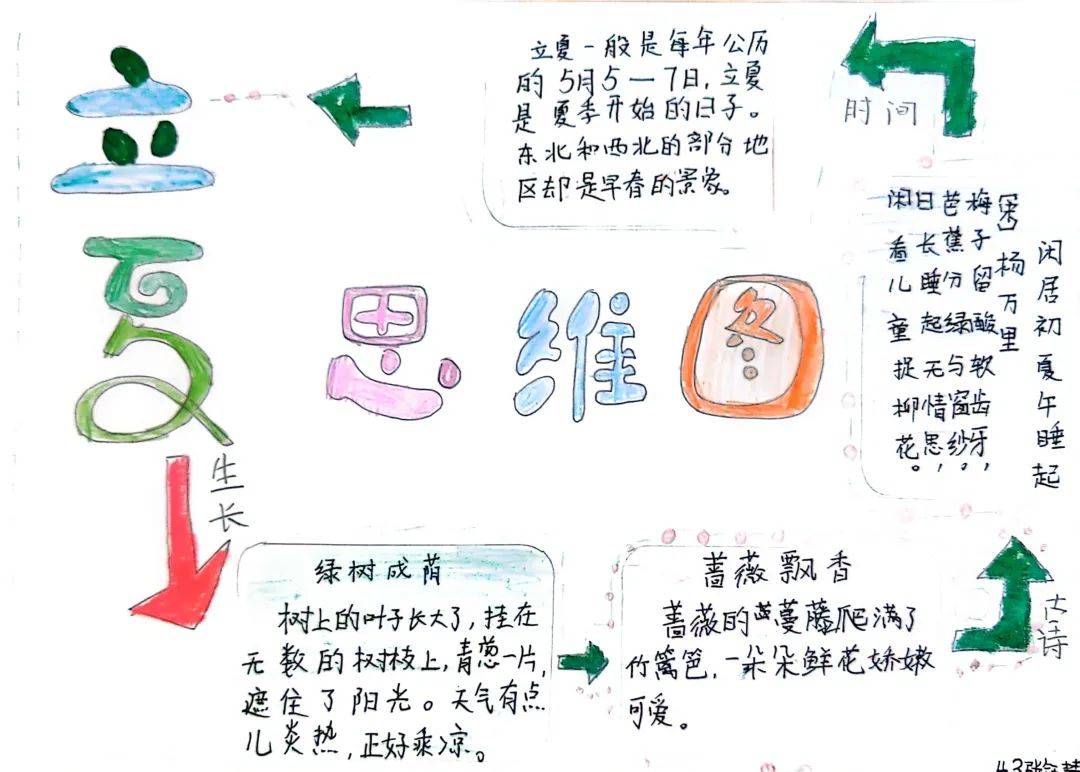 思维导图又称心智导图,是一种表达发散性思维的有效图形思维工具.
