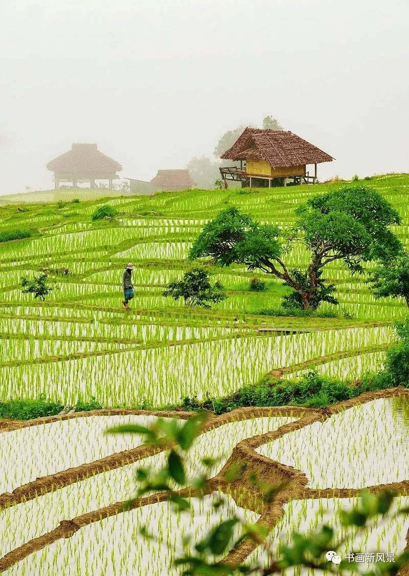 一组田园美景