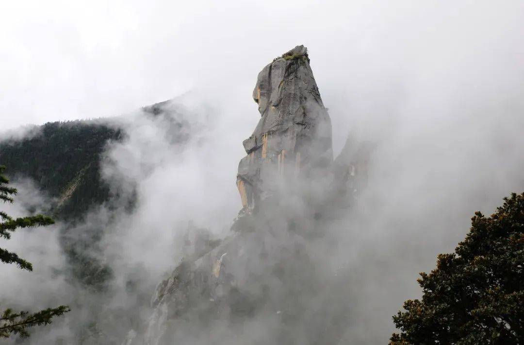 寻找马奈,源于嘎达山风景区.