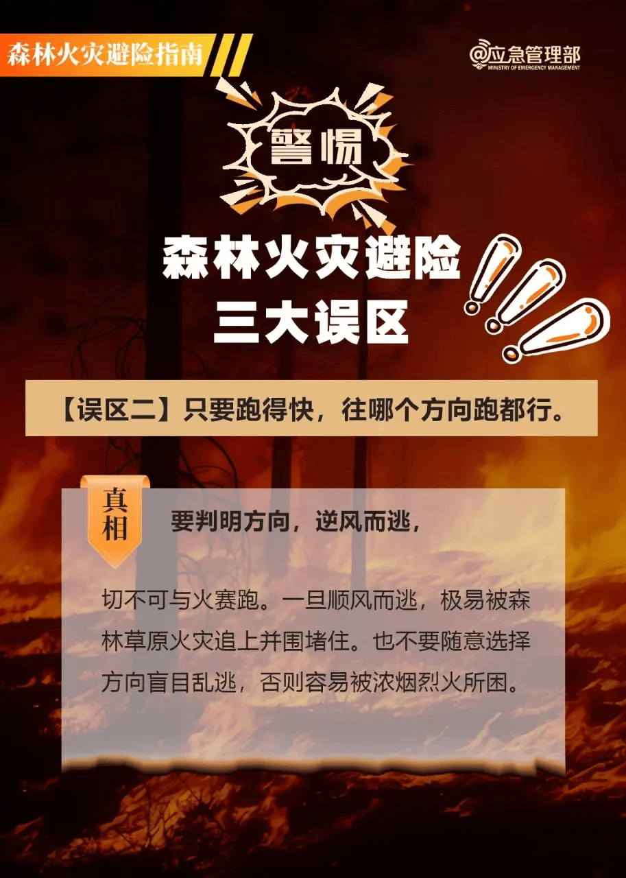 【森林防火】森林草原防灭火知识点