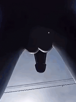 290_390竖版 竖屏gif 动态图 动图