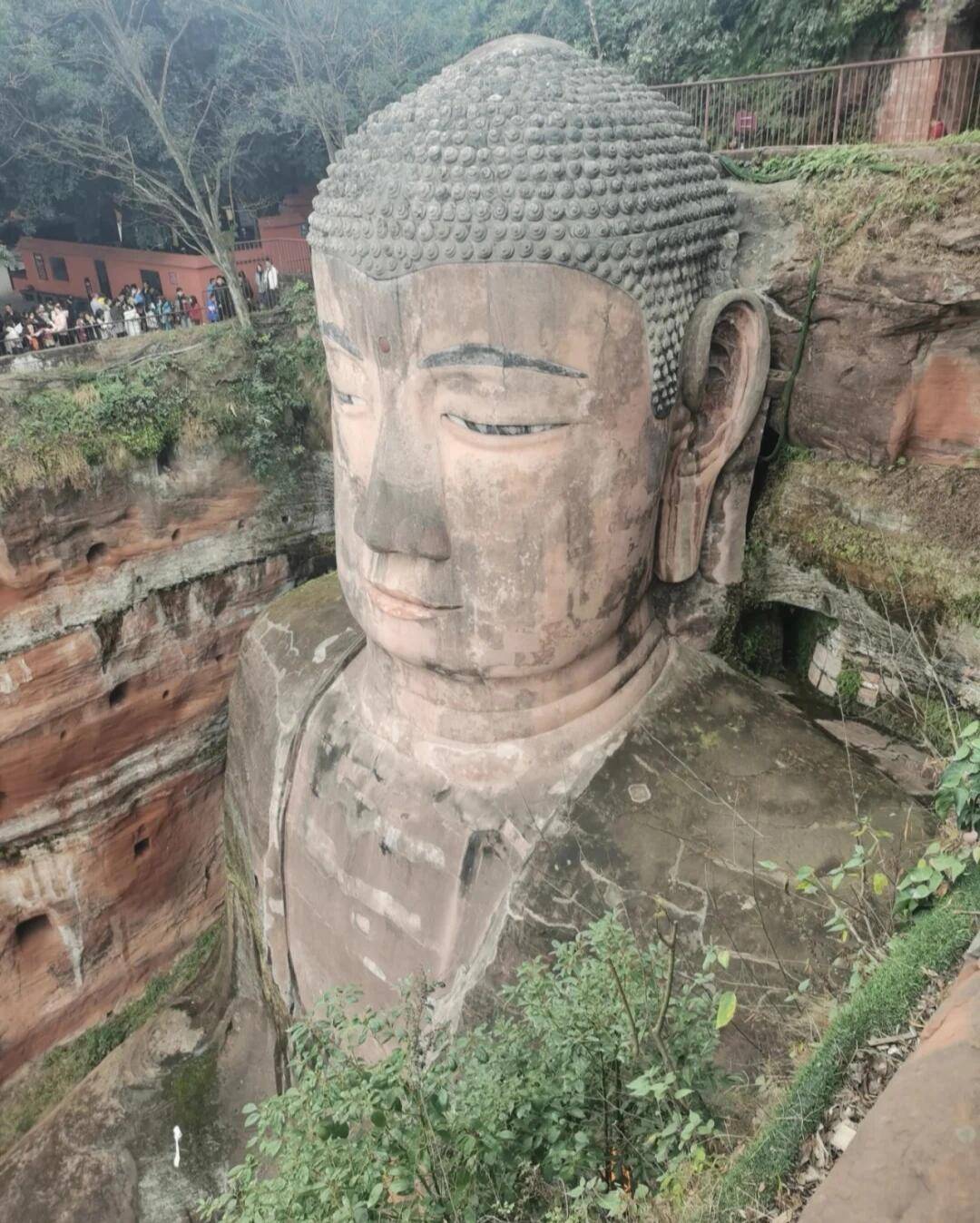 四川广元到成都旅游团报价 ,路线 费用 亲身经历