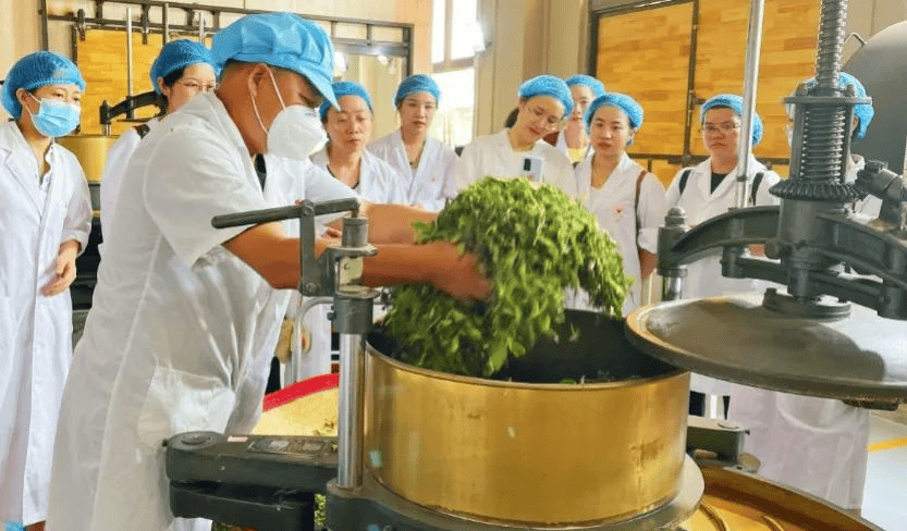 18英德自驾 | 仅此1团】深度体验英德春茶制作,叹