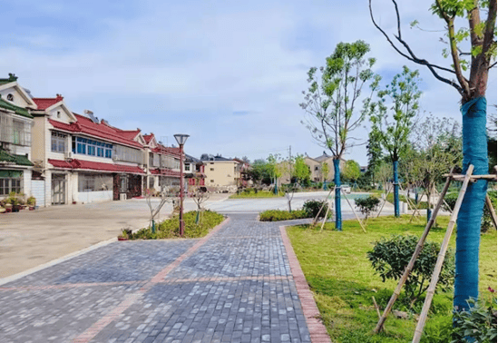 江苏无锡:"三清三治"绘就美丽乡村新画卷