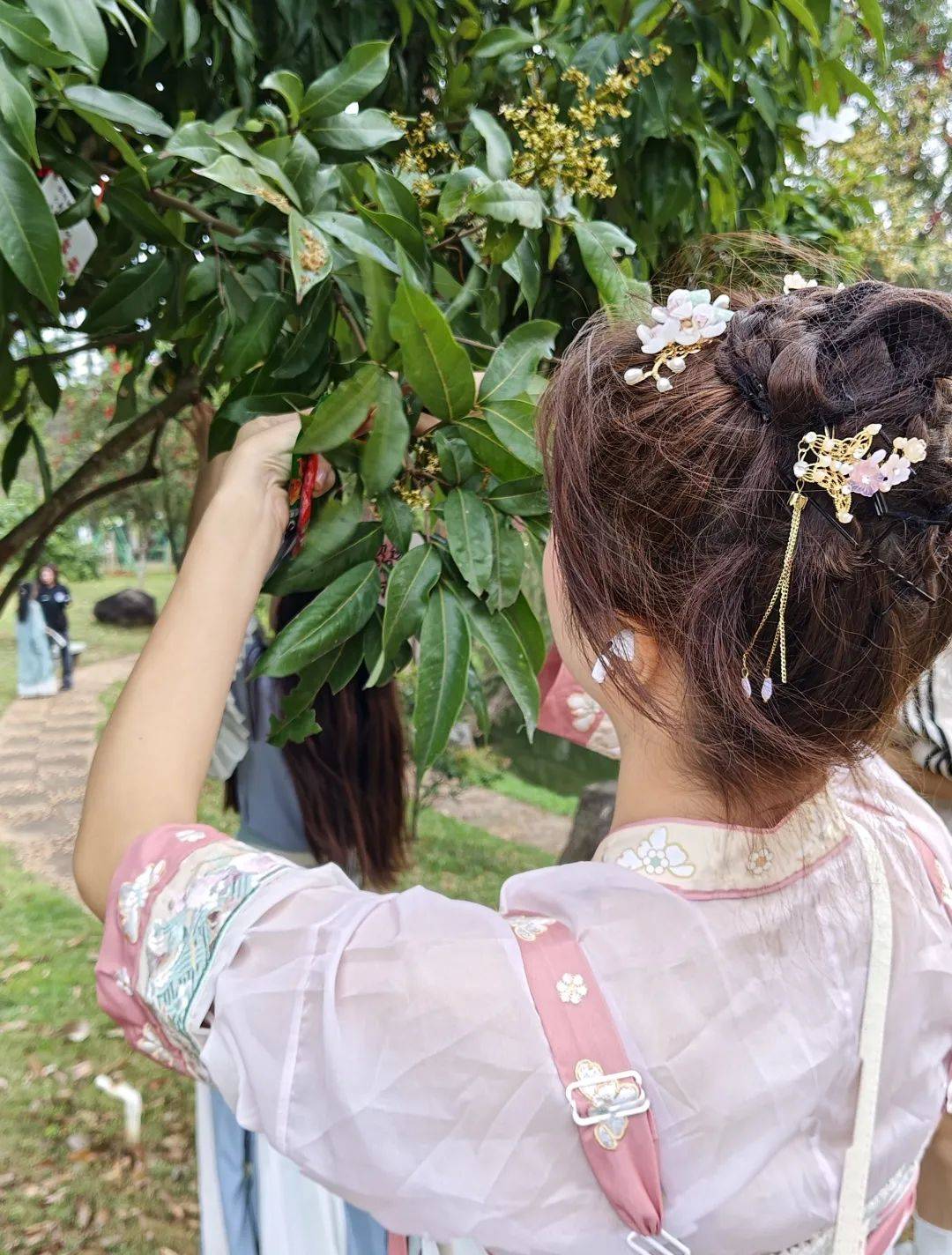 花朝节活动精彩落幕期待来年与君再赴约