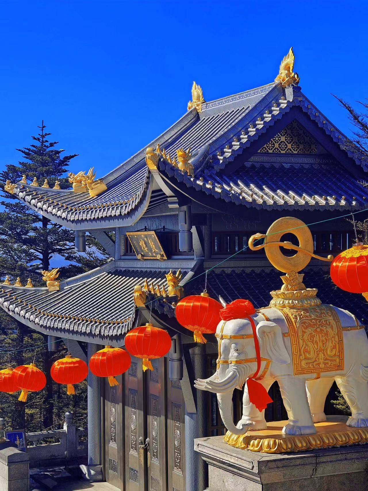 曲靖到成都旅游团 ,看完教你怎么1000 玩遍景点 美食 住宿