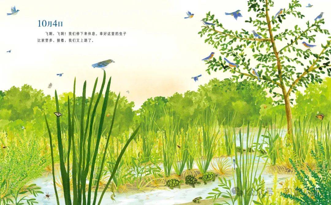 好书清仓,可惜又庆幸_孩子_动物侦探_绘本