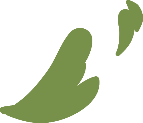 怪不得杨幂这么喜欢