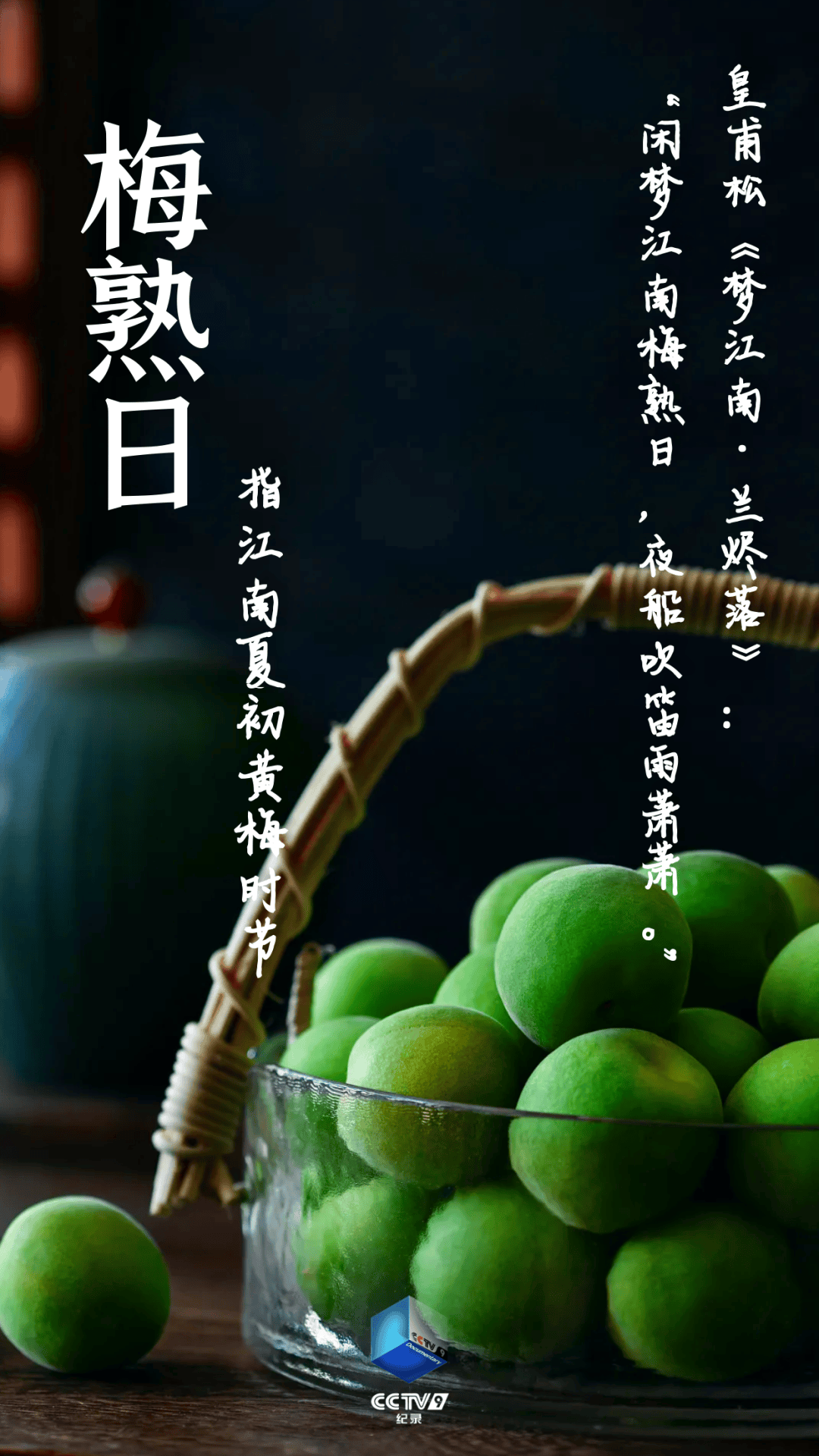 槐序,东皇,梅熟日……古人对时间的雅称有多绝!