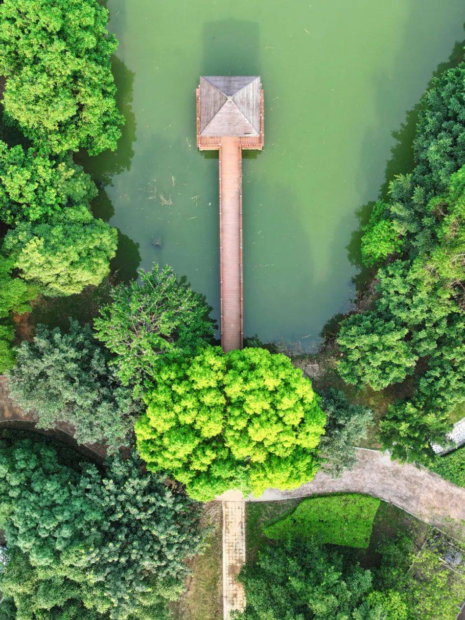 来松山湖生态园片区赏美景