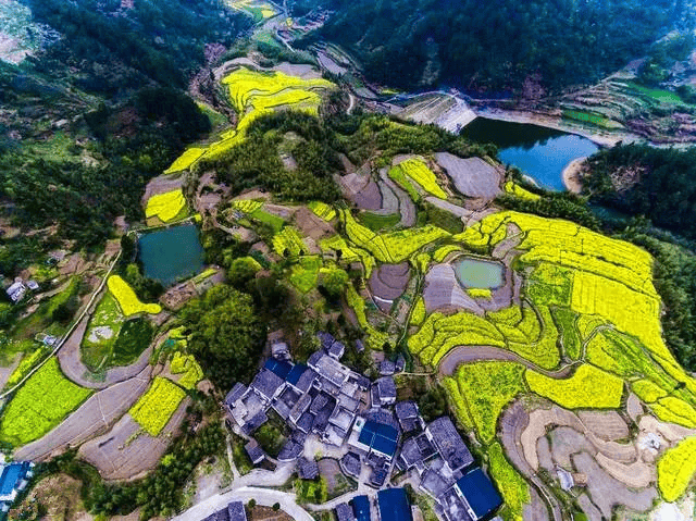 在绩溪有很多千年古村落,散落在巍巍群山之间,尚村位于有"中国最美