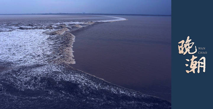 晚潮|从斯万家那边出来了